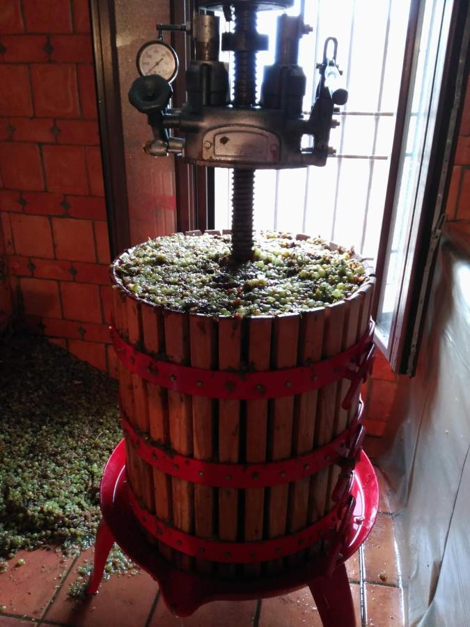 Casa Rural La Bodega, Ofrece Cata De Vino Gratis Horche Eksteriør bilde